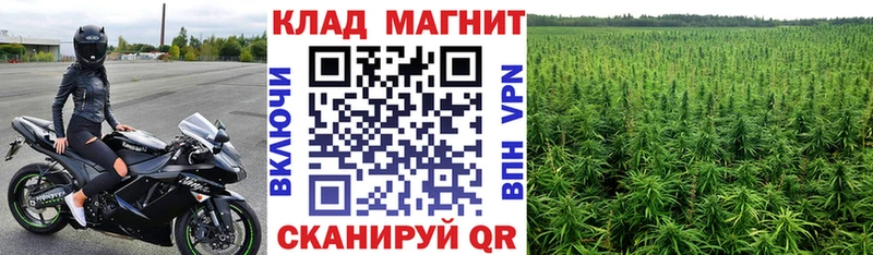 Где купить наркотики Каменногорск Марихуана  Меф мяу мяу  A-PVP  hydra   Амфетамин  Cocaine  Гашиш  ГЕРОИН 