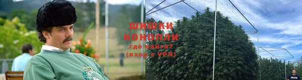ПСИЛОЦИБИНОВЫЕ ГРИБЫ Волоколамск
