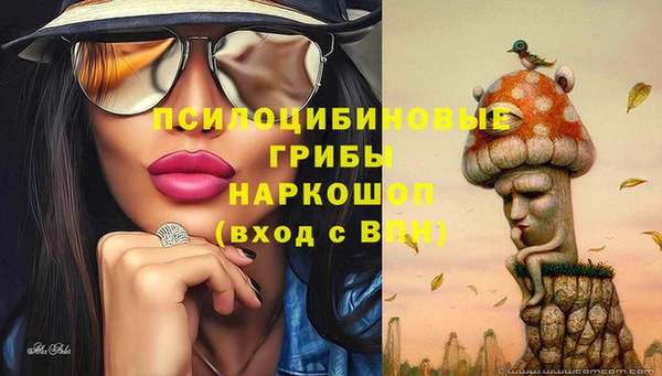 ПСИЛОЦИБИНОВЫЕ ГРИБЫ Волоколамск